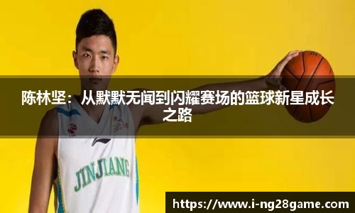 ng南宫28官网