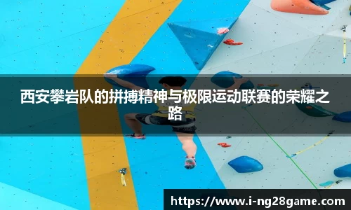 ng南宫28官方网站