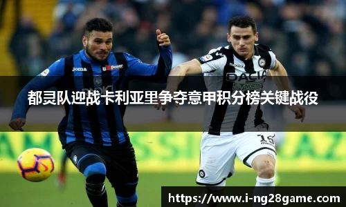 ng南宫28官网